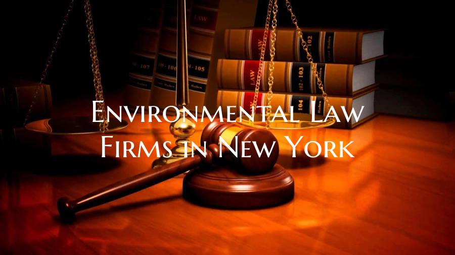 Environmental Law Firms in New York